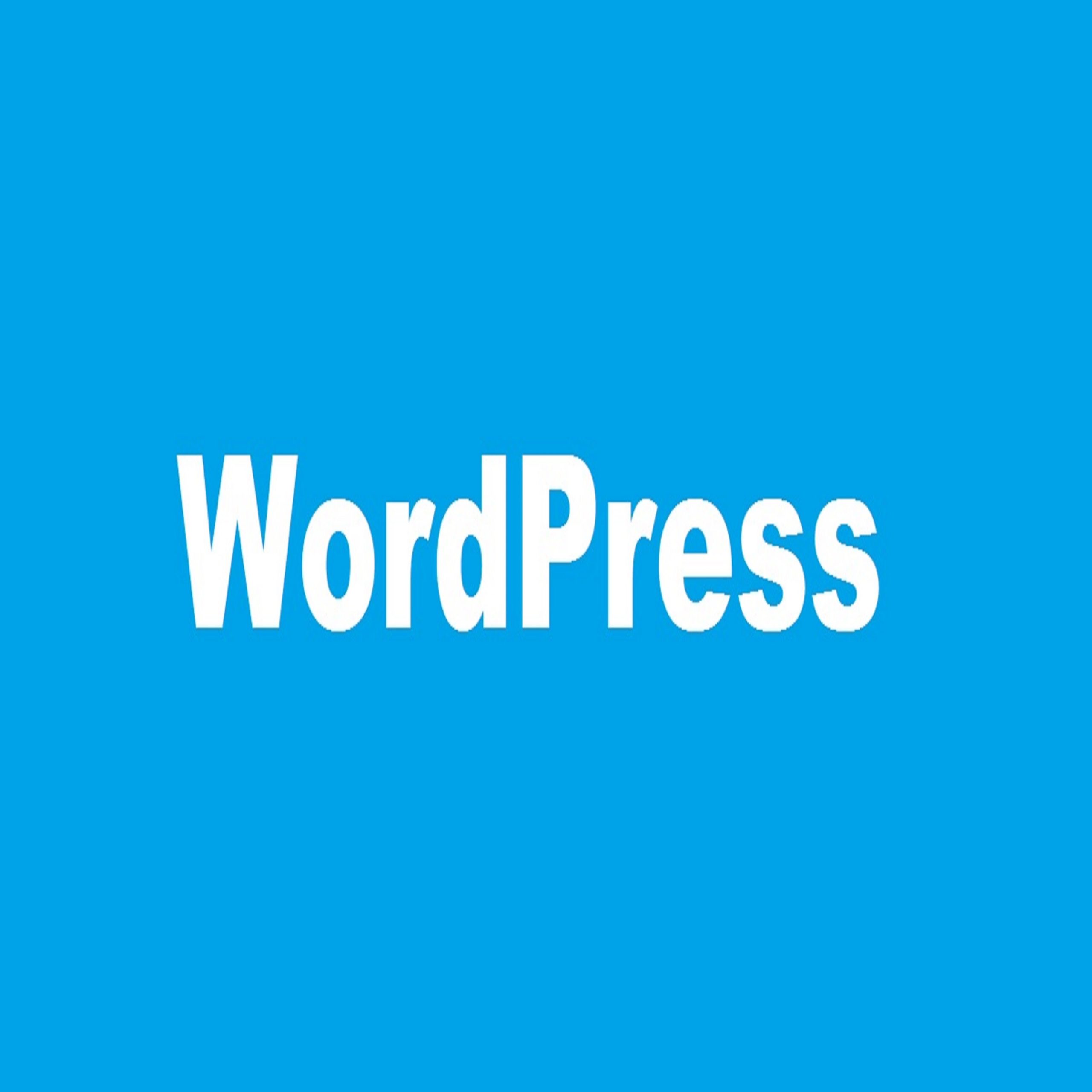 WordPress Development agency