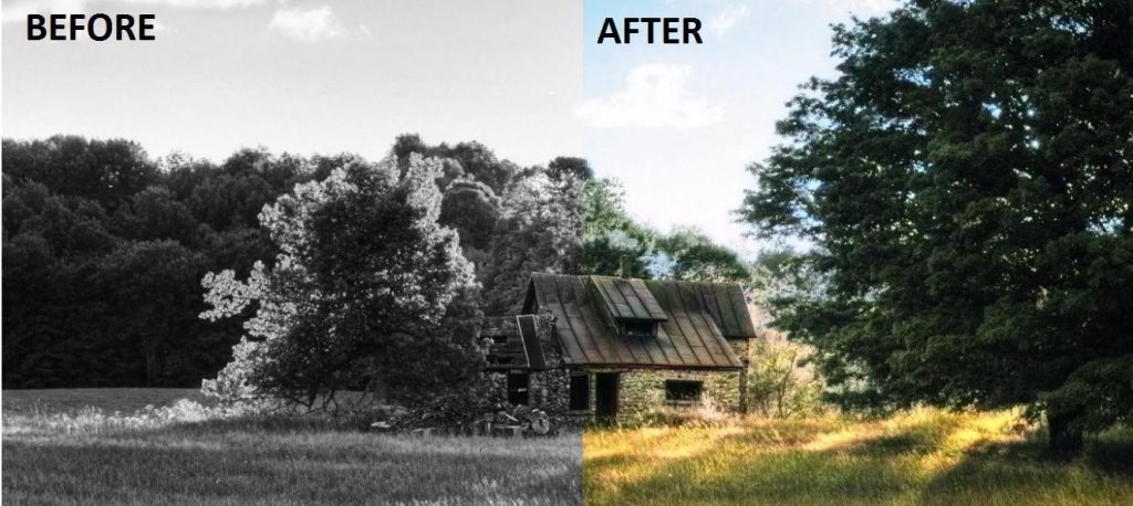 online colorization