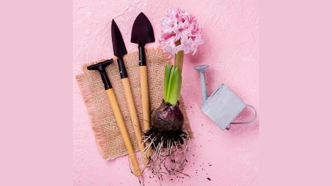The Art and Craft of Japanese Gardening Tools