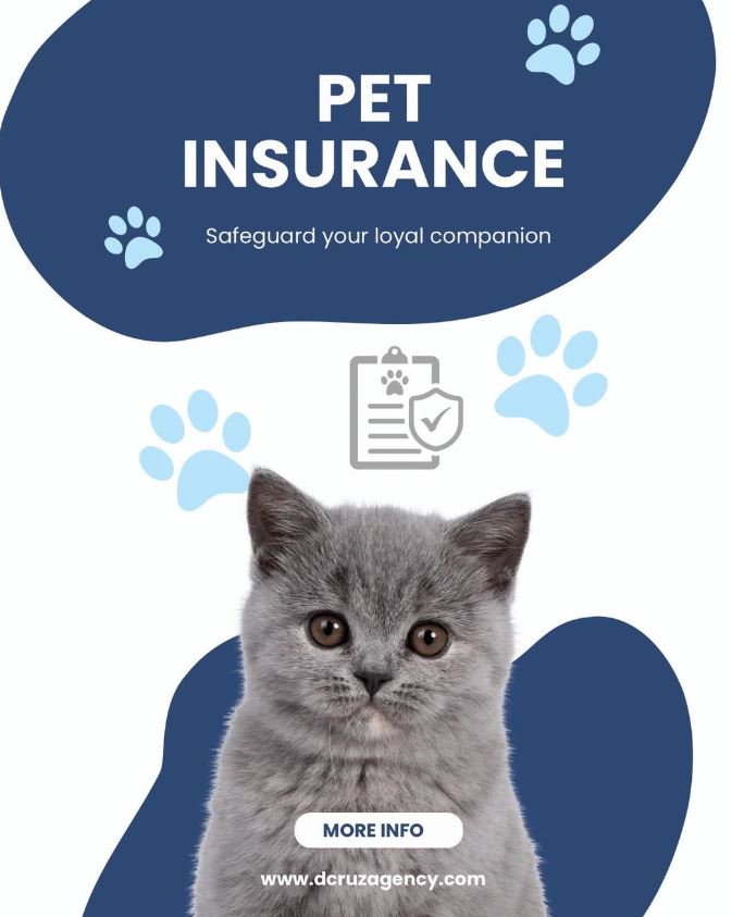 auto insurance Somerset NJ