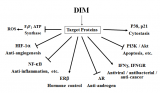 DIM diindolylmethane- Source, Potential Benefits, Risk Factors