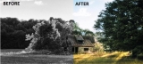 How To Colorize Old Black And White Photos