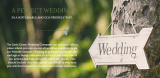 Seed wedding invitations