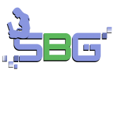 Saifi Business Group (SBG) :- Digital Marketing Company and it’s Services