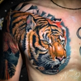 A Brief Discussion on the Meaning of Tiger Tattoos